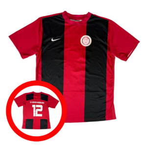 SV WEHEN WIESBADEN 2009/10 Nike Football Shirt L